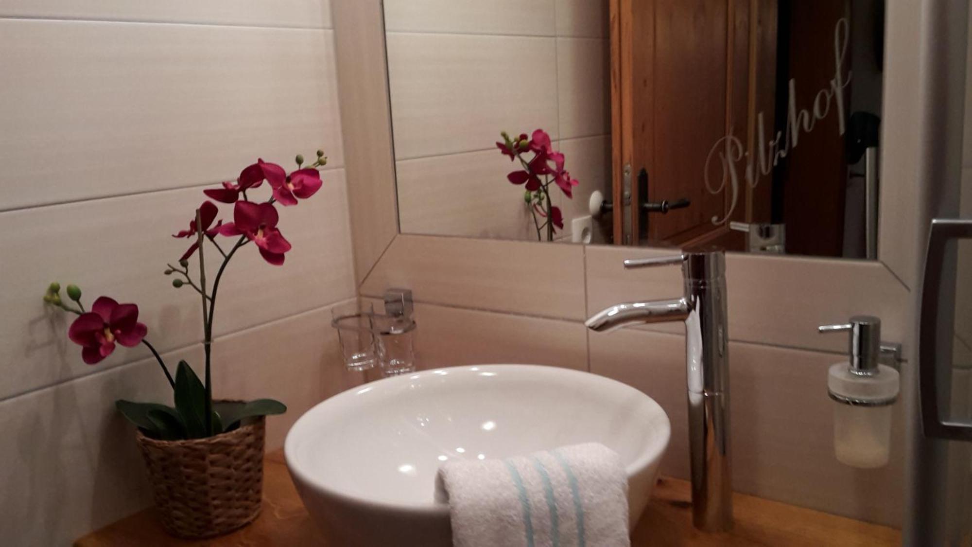פילצמוס Appartement Pilzhof מראה חיצוני תמונה